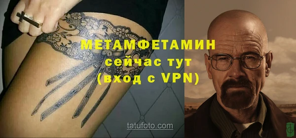 шишки Бородино