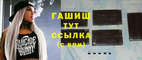 шишки Бородино
