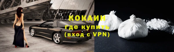 шишки Бородино