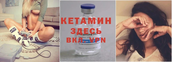 шишки Бородино
