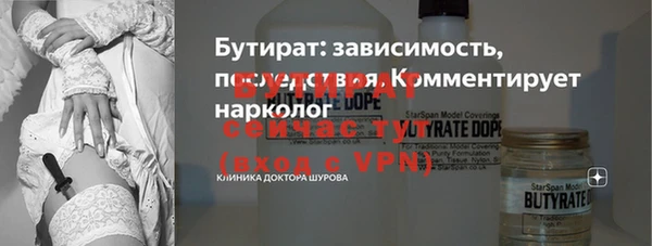 шишки Бородино