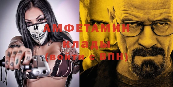 шишки Бородино