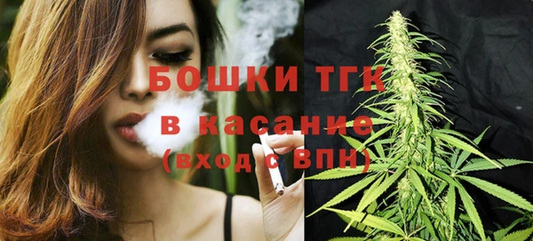 шишки Бородино