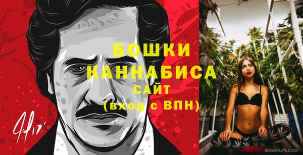 шишки Бородино