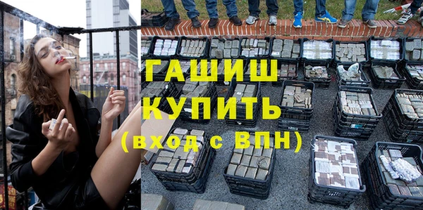 шишки Бородино