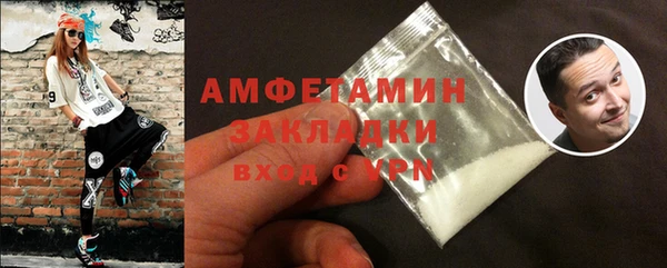 шишки Бородино